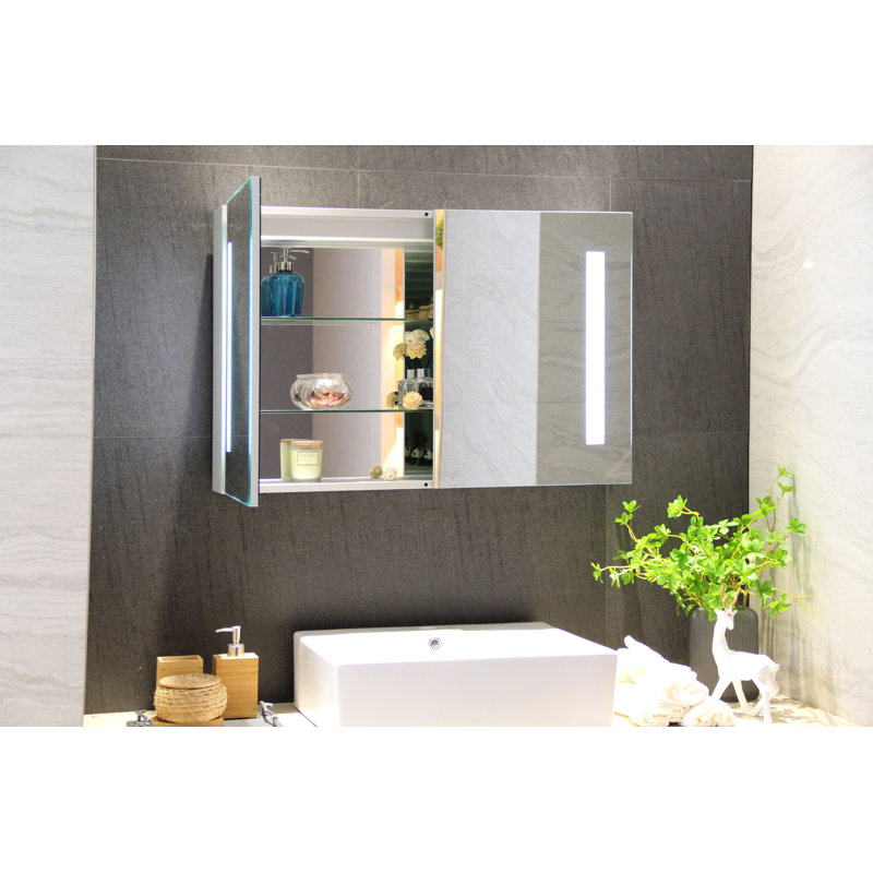 Orren Ellis Surface Mount Frameless 2 Door Medicine with 2